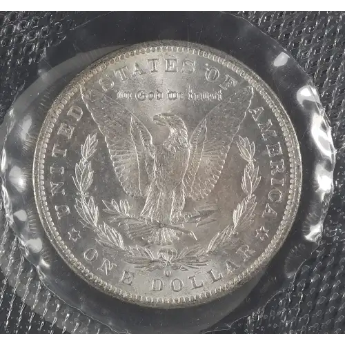 Morgan Silver Dollar