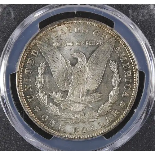 Morgan Silver Dollar