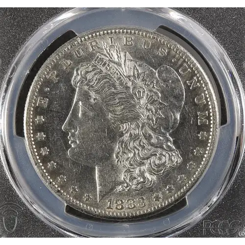Morgan Silver Dollar (2)