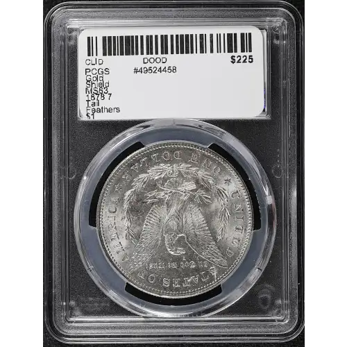 Morgan Silver Dollar (2)