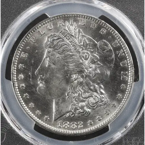 Morgan Silver Dollar