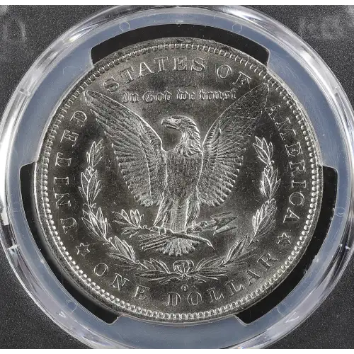 Morgan Silver Dollar (2)