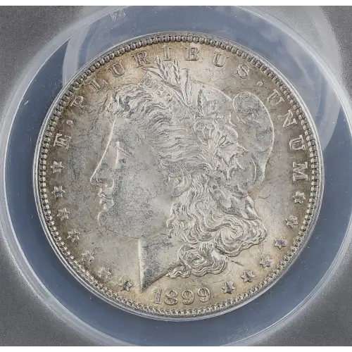 Morgan Silver Dollar (2)