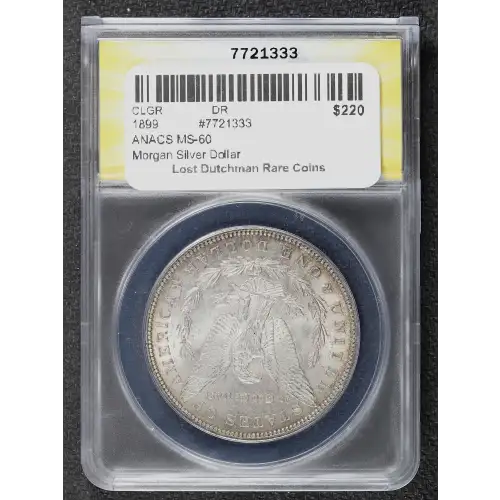 Morgan Silver Dollar (4)