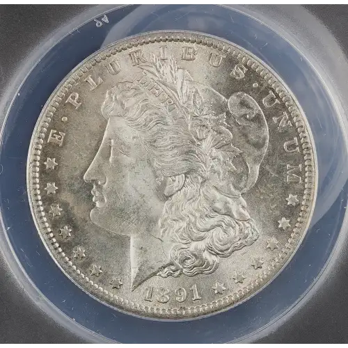 Morgan Silver Dollar (2)