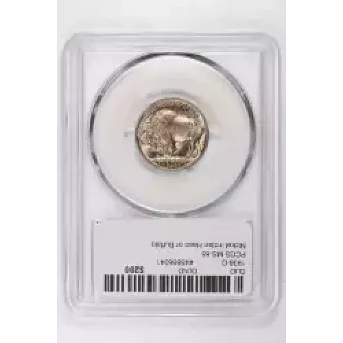 Nickel Five Cent Pieces-Indian Head or Buffalo (2)