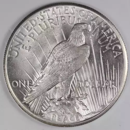 Peace Silver Dollar (2)