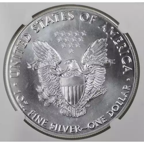 Silver Eagles (5)