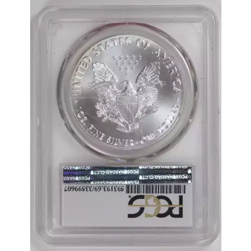 Silver Eagles (2)