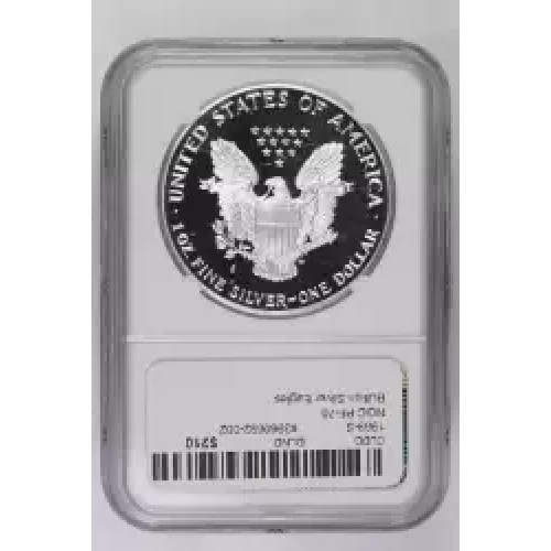 Silver Eagles (2)