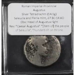 Ancient Roman Coin (3)