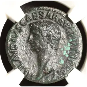 Ancient Roman Coin (5)