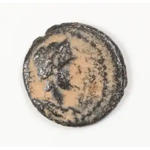 Ancient Roman Coin