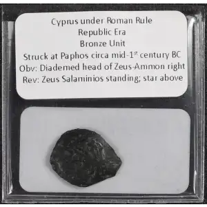 Ancient Greek Coin (4)