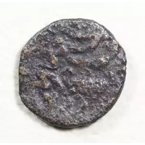 Ancient Greek Coin (2)