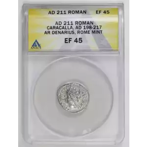 Ancient Roman Coin