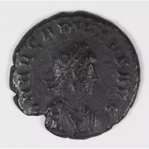 Ancient Roman Coin (3)