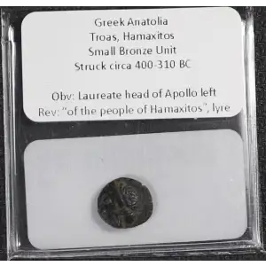 Ancient Greek Coin (4)