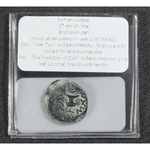 Ancient Greek Coin