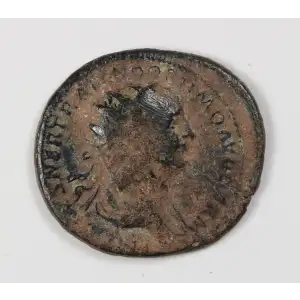 Ancient Roman Coin