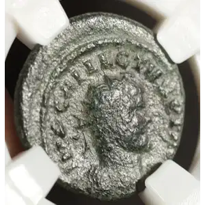 Ancient Roman Coin (6)