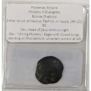 Ancient Greek Coin (3)