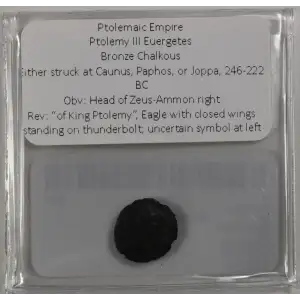 Ancient Greek Coin (3)