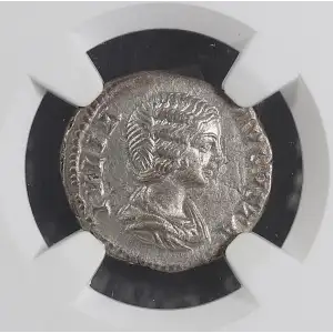 Ancient Roman Coin