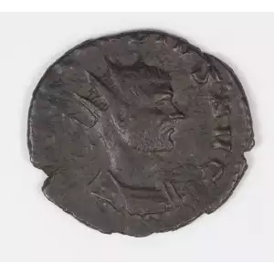 Ancient Roman Coin