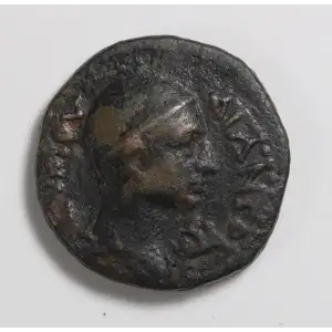 Ancient Roman Coin