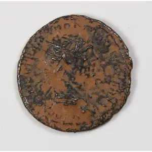 Ancient Roman Coin (2)