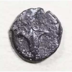 Ancient Greek Coin