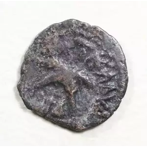 Ancient Greek Coin (2)
