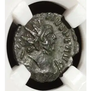 Ancient Roman Coin (5)