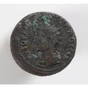 Ancient Roman Coin (2)