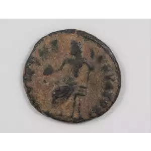 Ancient Roman Coin (2)
