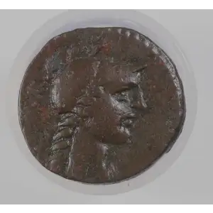 Ancient Greek Coin (2)