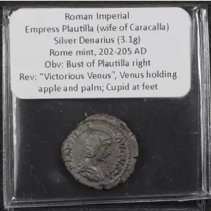 Ancient Roman Coin (4)
