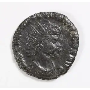Ancient Roman Coin (2)