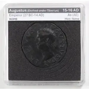 Ancient Roman Coin (5)