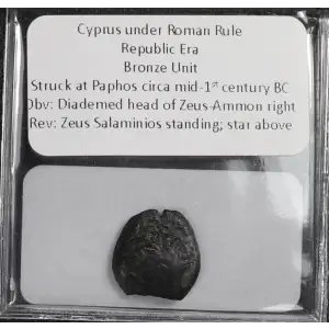 Ancient Greek Coin (4)