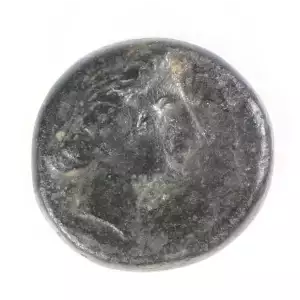 Ancient Greek Coin (2)