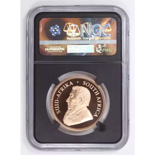 South Africa Gold OUNCE (2)